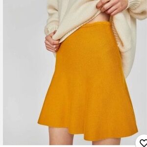 Zara Golden Skater Skirt